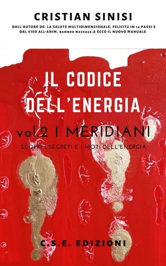 il codice dell'energia vol.2 meridiani DI CRISTIAN SINISI 