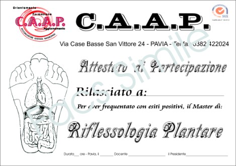 Www Cristiansinisi It Corso Sulla Riflessologia Plantare Www Cristiansinisi It