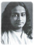 yogananda